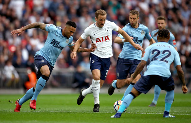 会歌的推出 会歌的推出