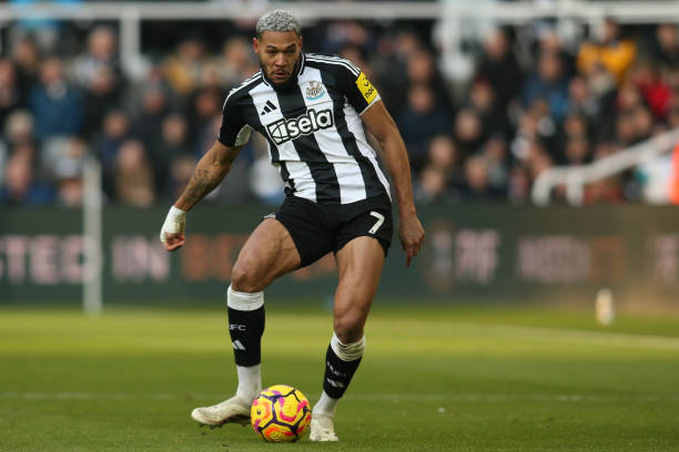 哈尔滨亚冬 哈尔滨亚冬