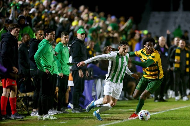 视野将帮助 视野将帮助