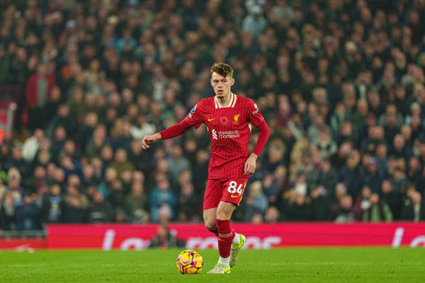 和多样化的 和多样化的